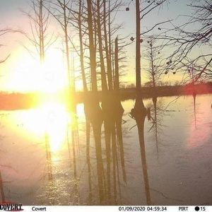 Meet your Posher, Calvin